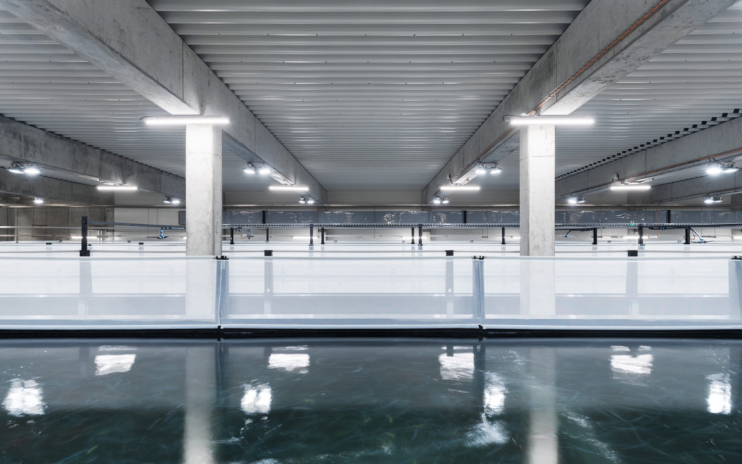 Neubau Hauptsitz SwissShrimp AG, Rheinfelden