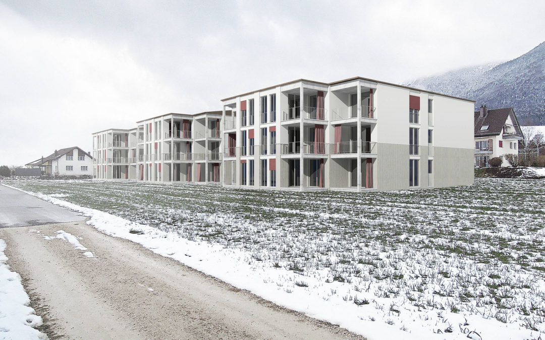 Neubau Wohnsiedlung, Lommiswil